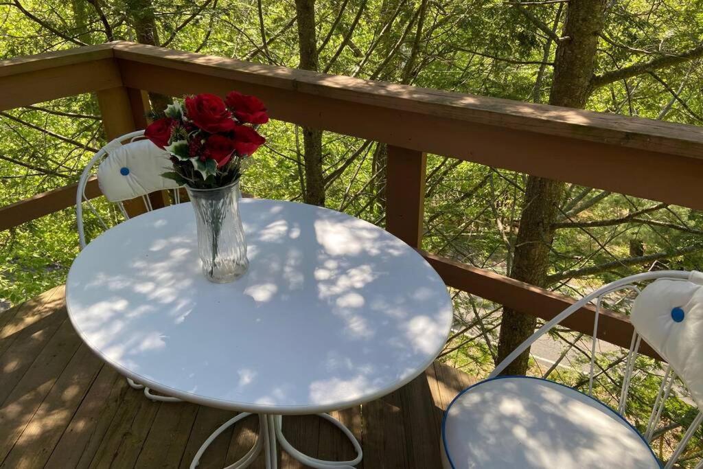 Chalet Regent Hilltop Sandyville